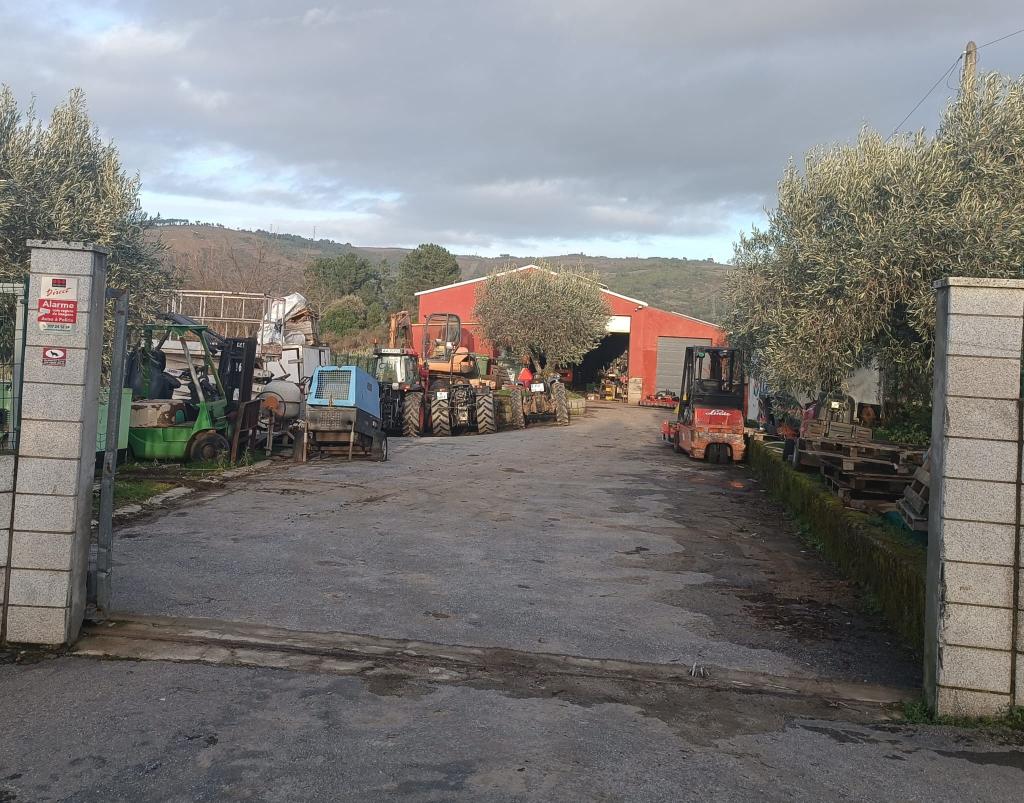 Micael Pestana Carvalheira