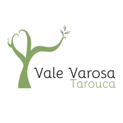 C&acirc;mara Municipal de Tarouca