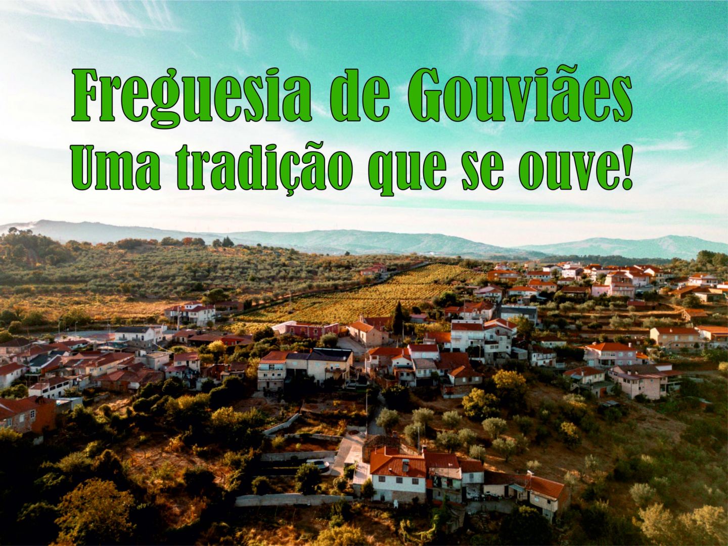 Freguesia de Gouvi&atilde;es